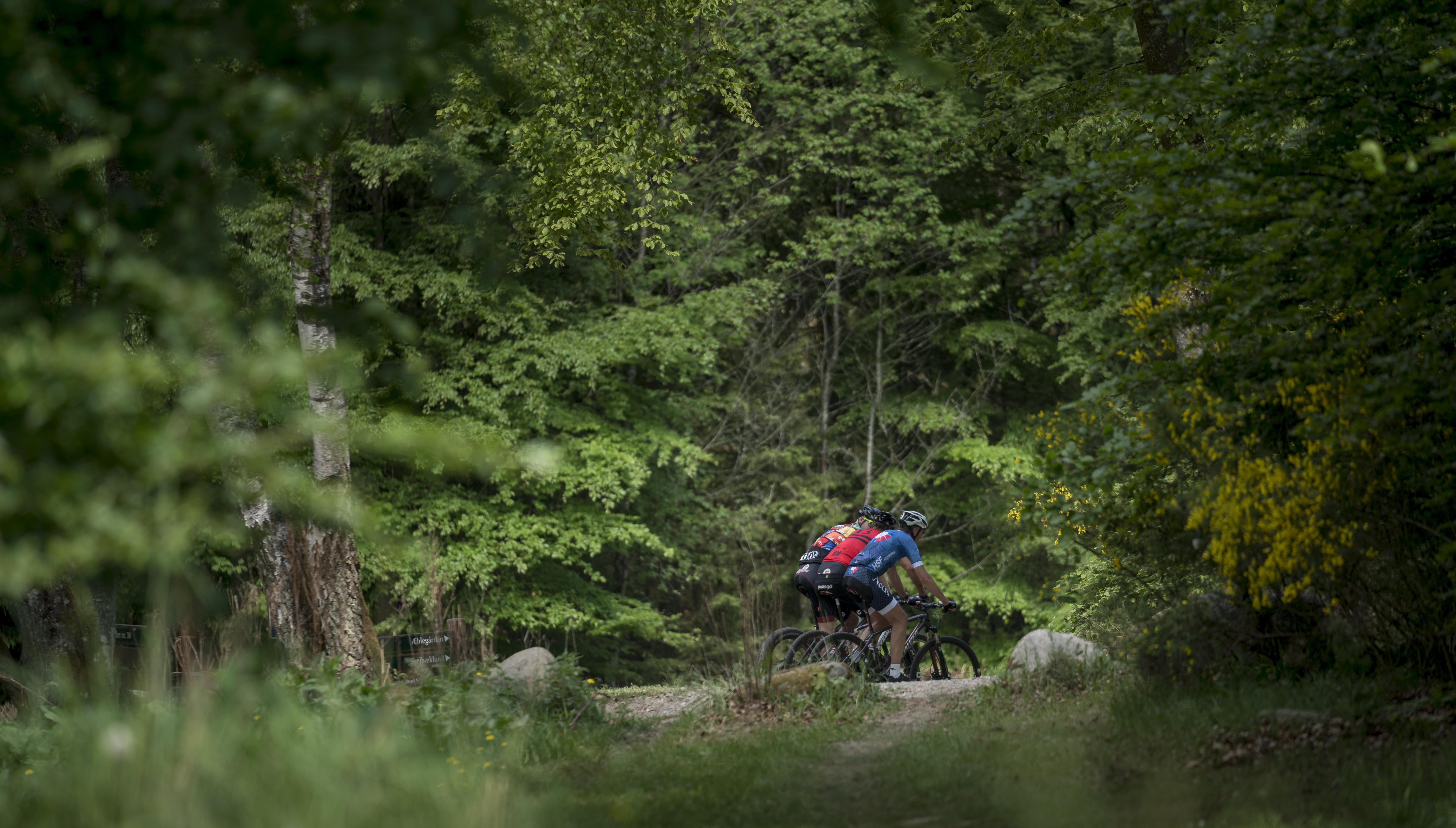 MTB