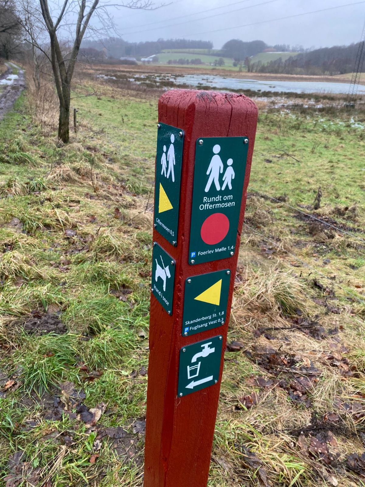 offermosen
