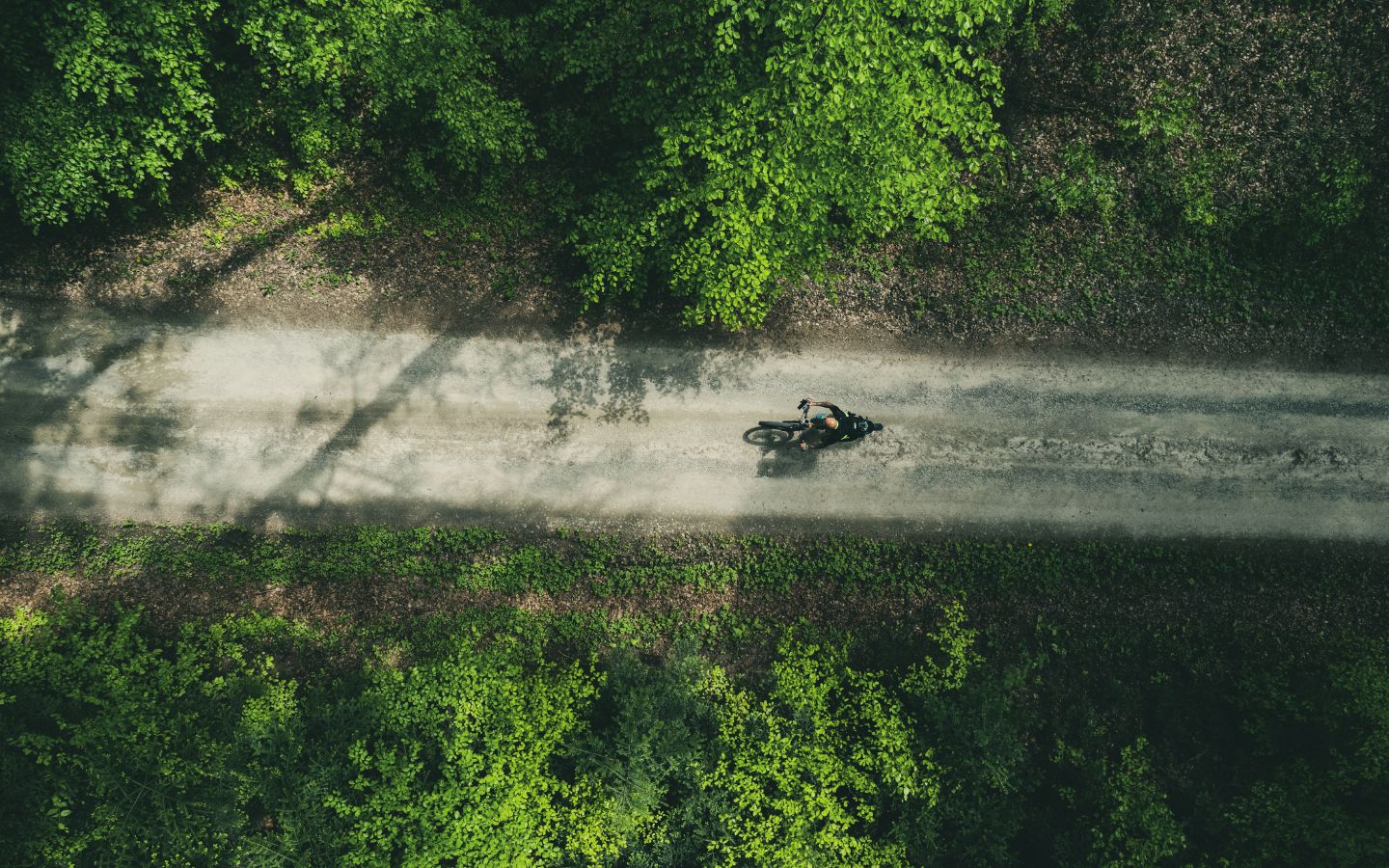 MTB