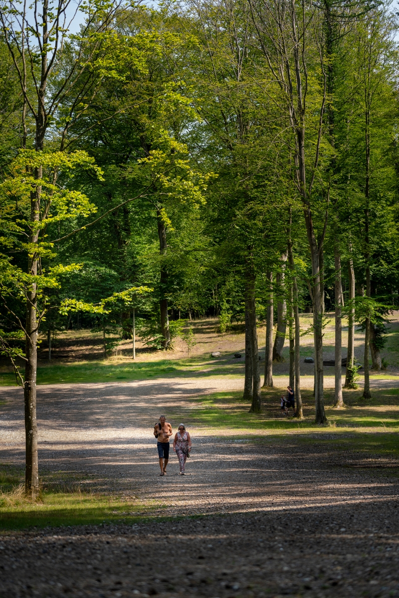 Dyrehaven