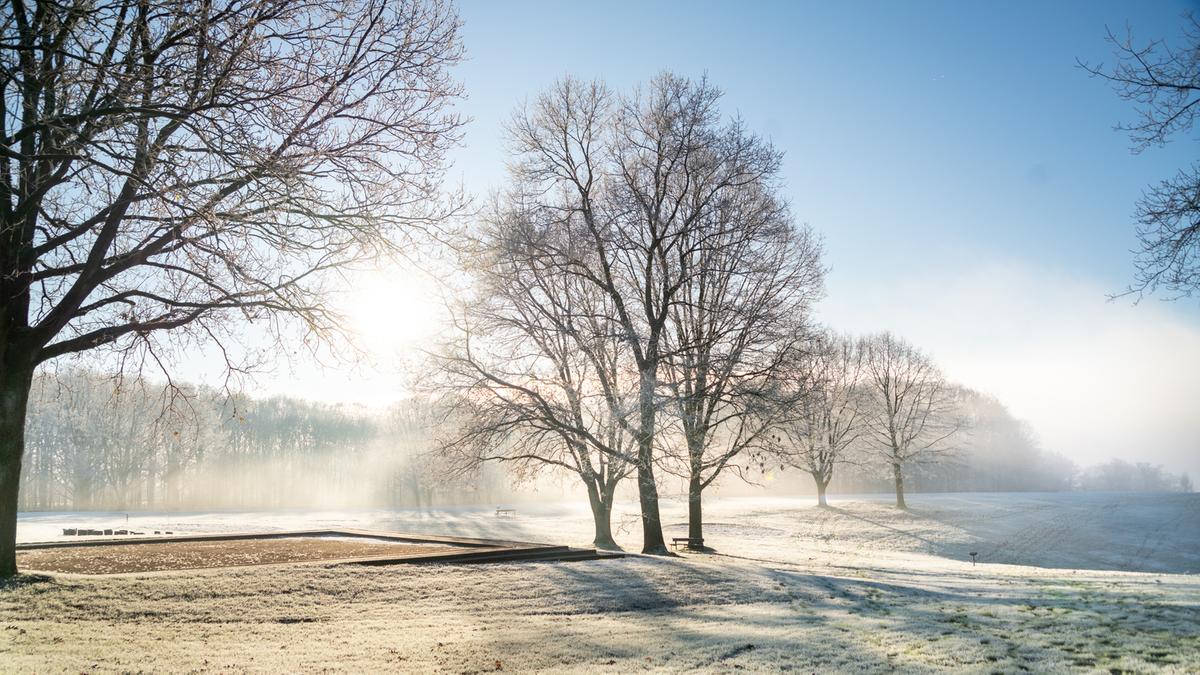 Vinter