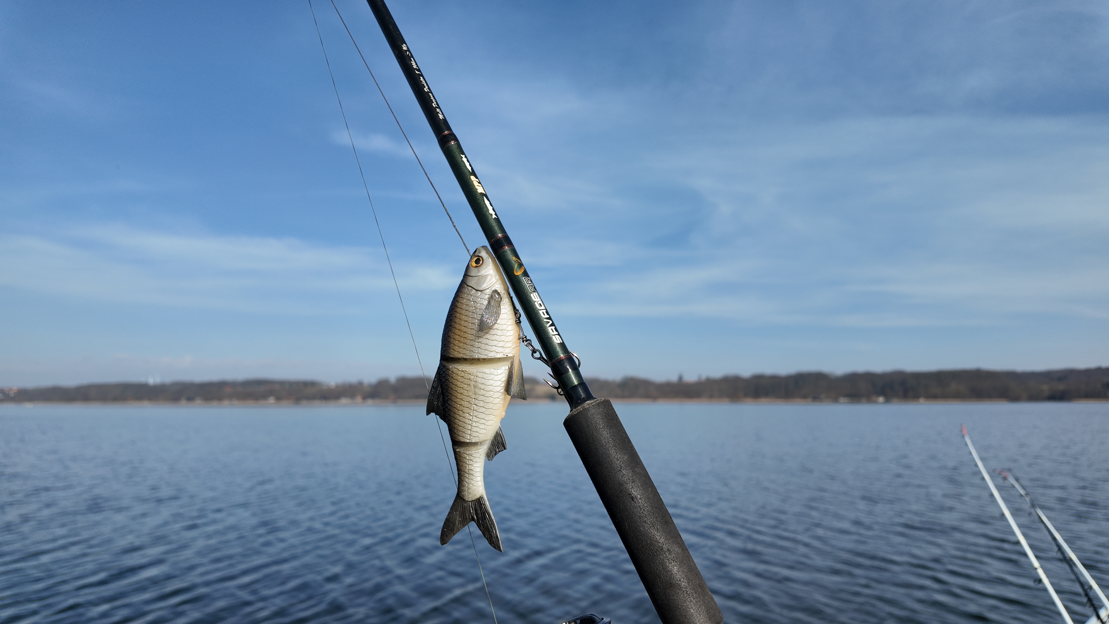 Fiskestang