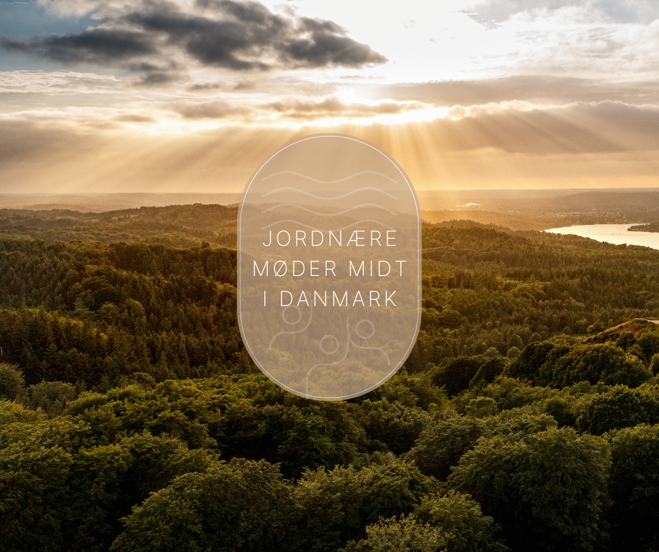 møde