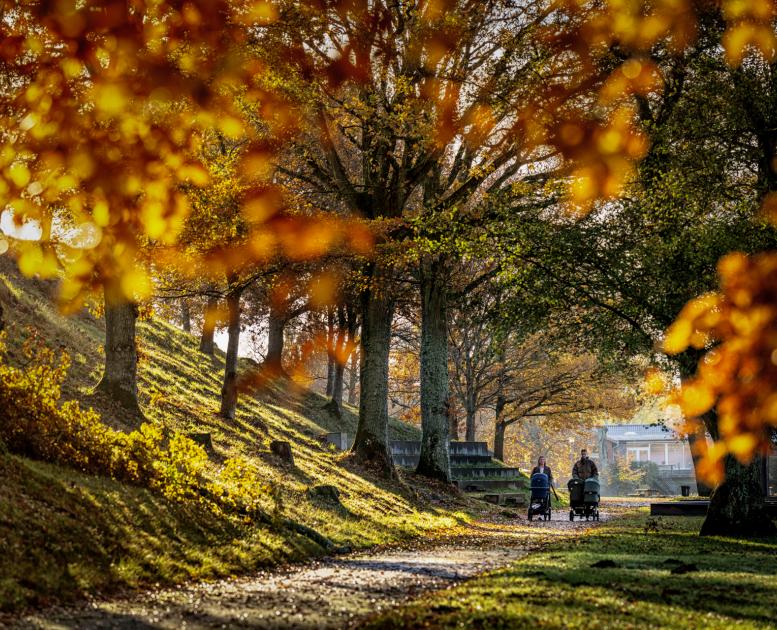 Efterår i Danmarks Smukkeste